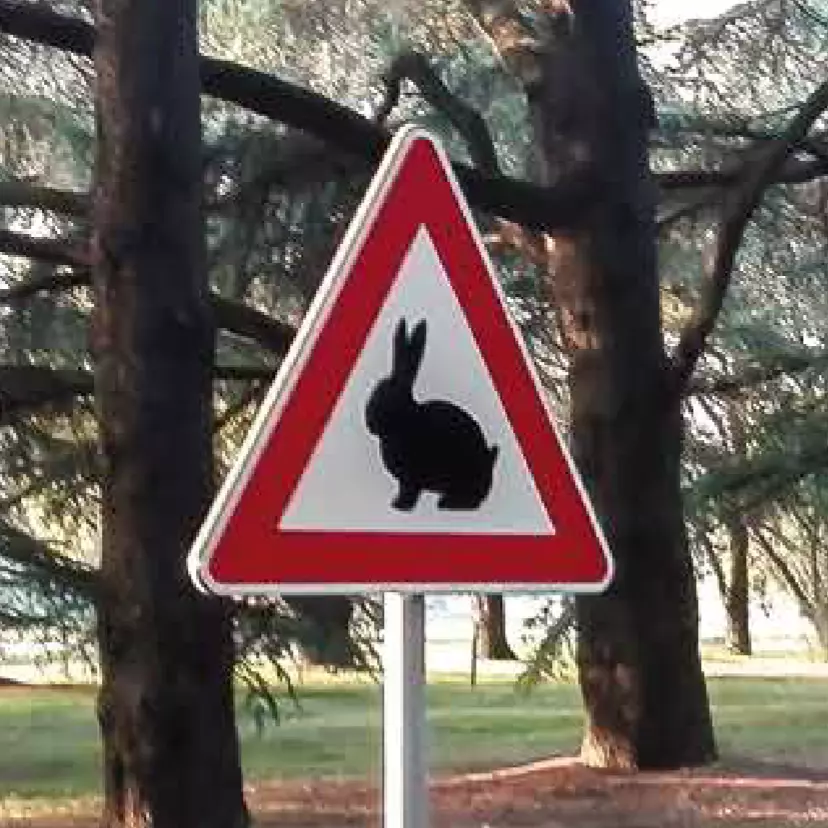 Air Water Land: catalogo