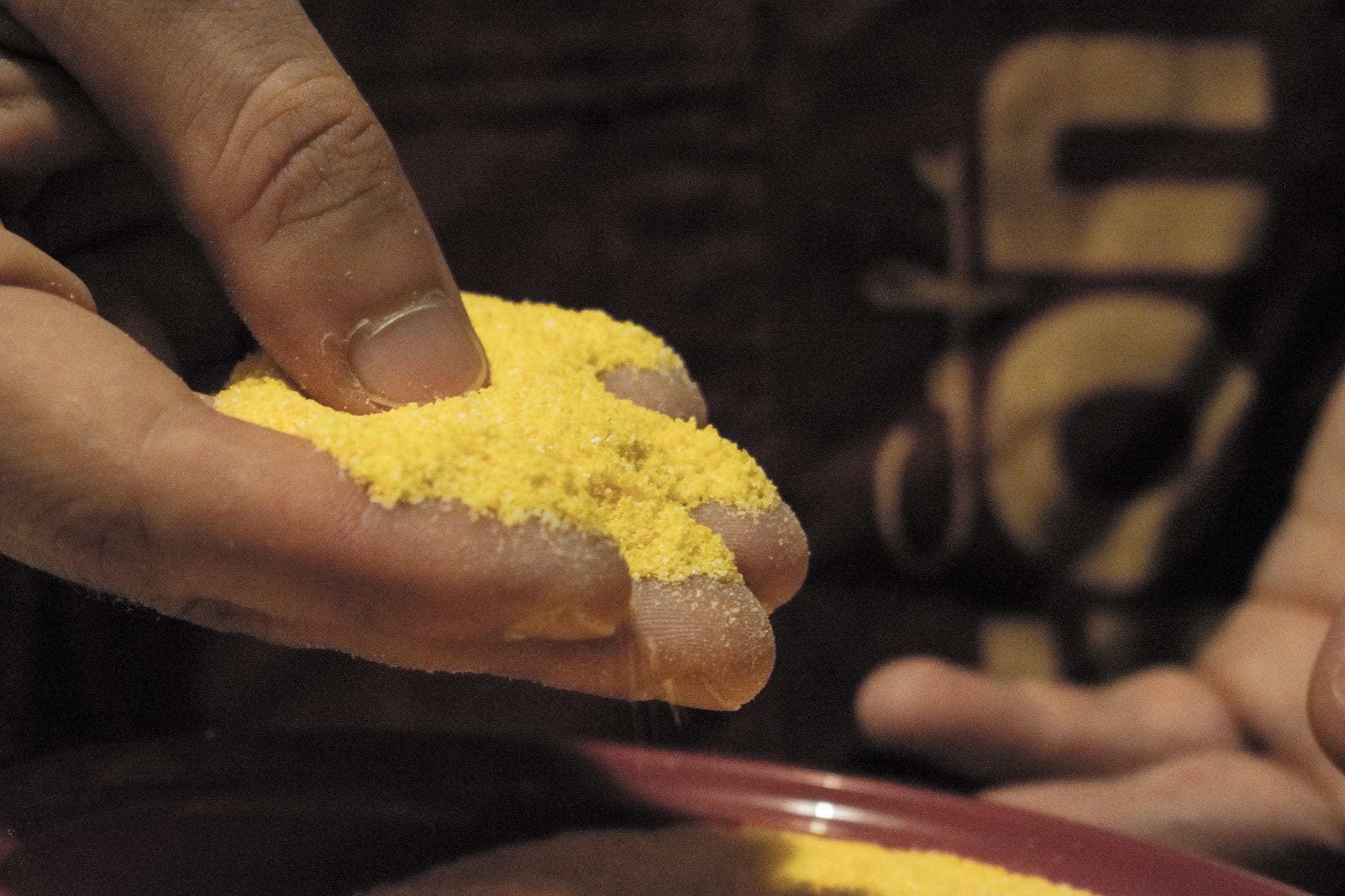 Degustazione di polenta bresciana al PCB, documentazione fotografica 14, Manuel Ghidini